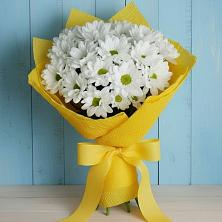 Букет цветов из:  Хризантемы в Талдоме