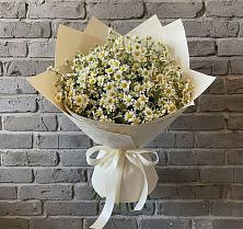 Букет цветов из:  Ромашки #REPLACE_PRED# Талдоме