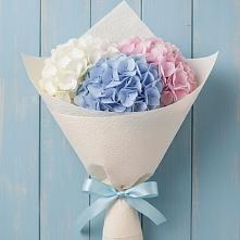 Букет цветов из:  Гортензия в Талдоме