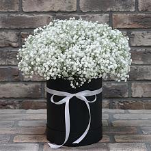 Цветочная композиция из Гипсофила в шляпной коробке в Талдоме