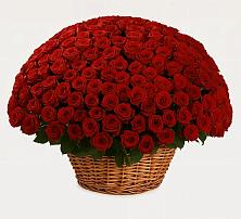 Премиум букет из: Розы в Талдоме
