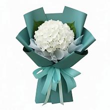 Букет цветов из:  Гортензия #REPLACE_PRED# Талдоме